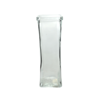 Square and Tall Glass Vase